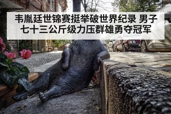 韦胤廷世锦赛挺举破世界纪录 男子七十三公斤级力压群雄勇夺冠军